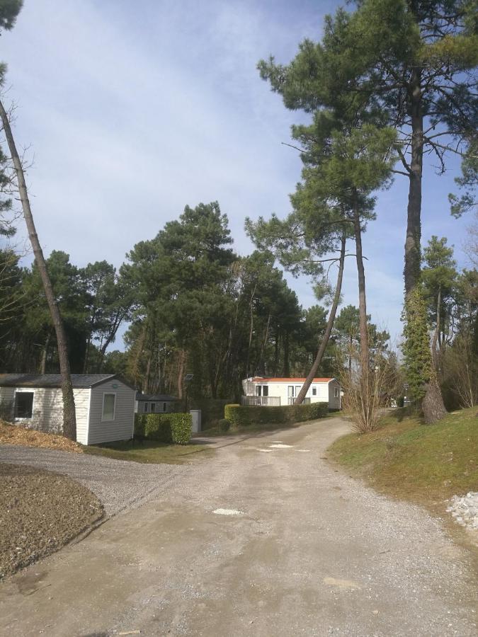 La Dune Blanche Camiers Eksteriør bilde
